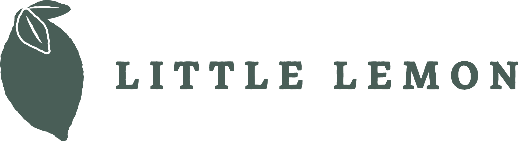 Little Lemon Logo